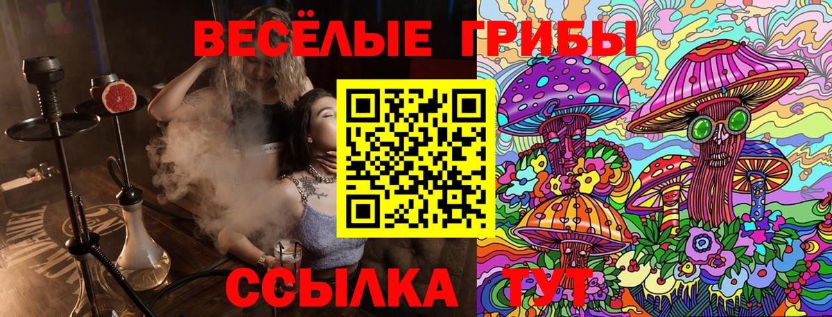 Абинск  Псилоцибиновые грибы Magic Shrooms  продажа наркотиков  Вход с VPN 