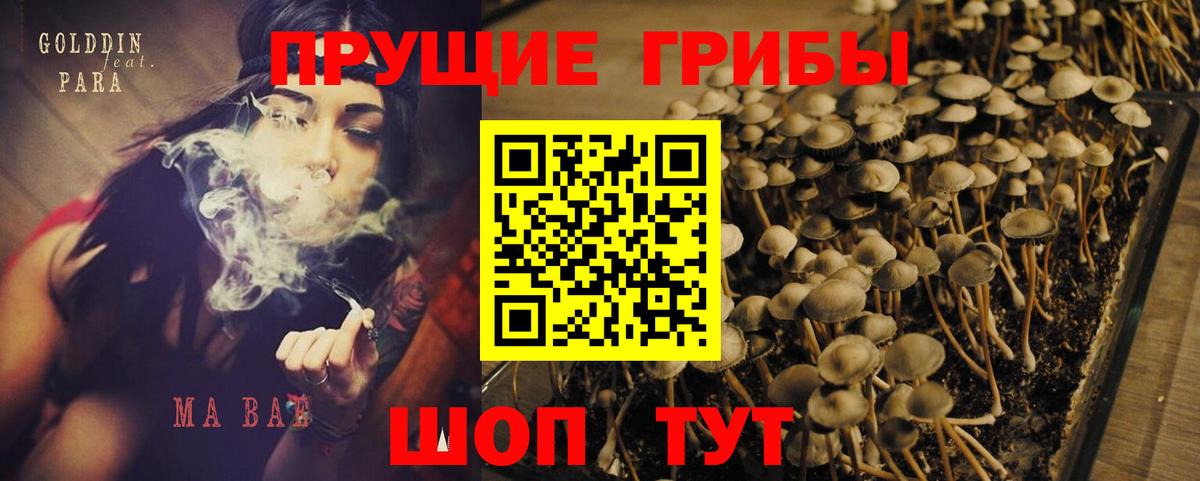 Галлюциногенные грибы мицелий Абинск